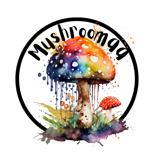 Mushroomaa